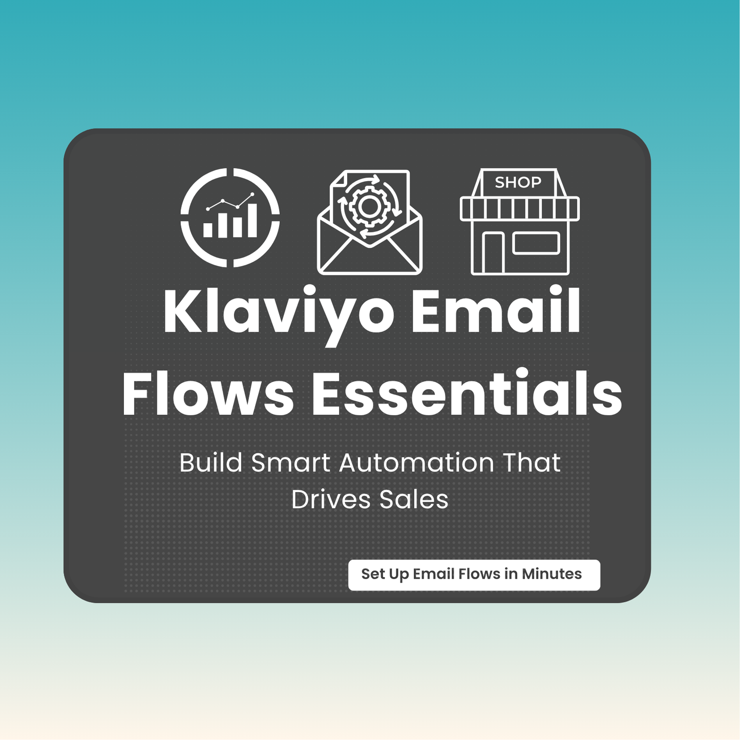 Klaviyo CRM Automation Course Thumbnail